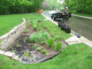 Rain garden maintenance and upkeep is important