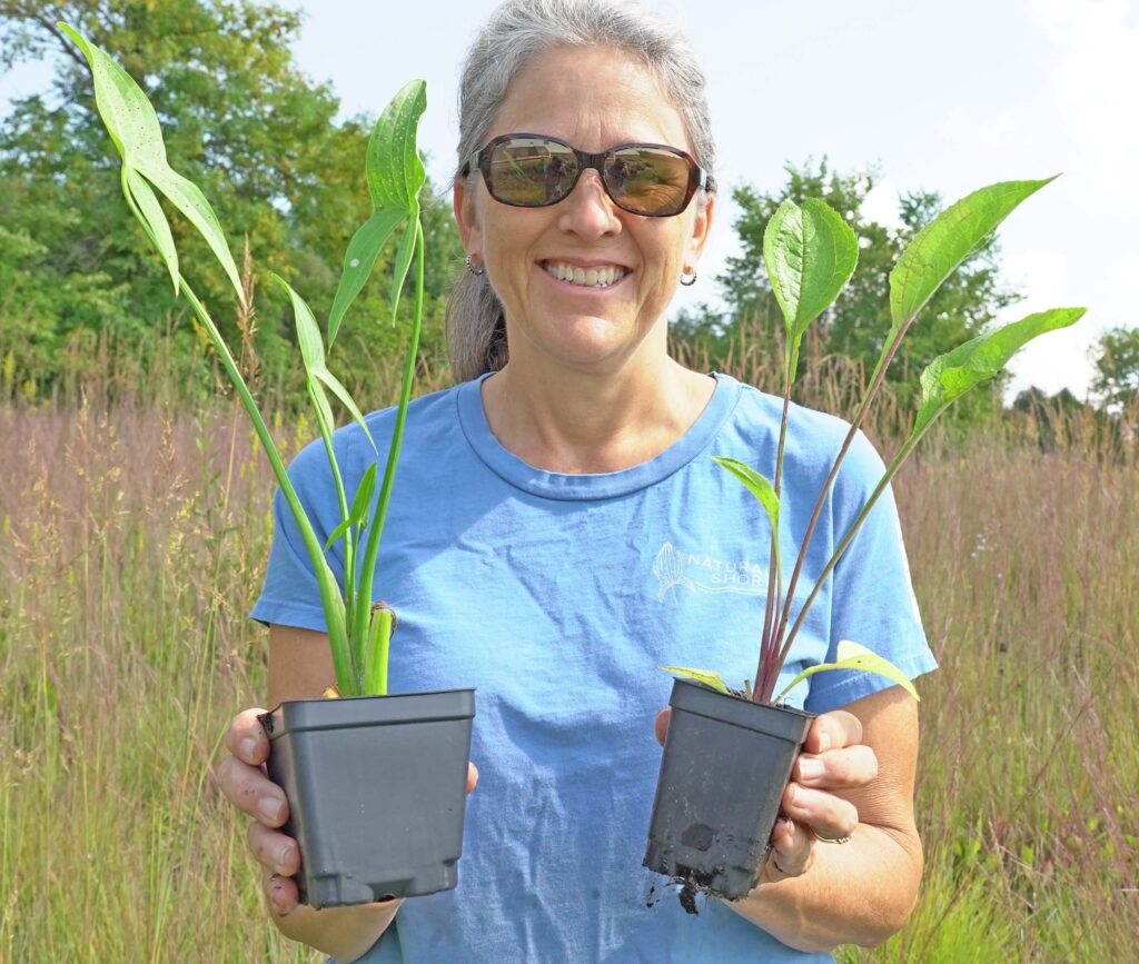 Nursery Manager holding 4 inch and 3 inch pot 