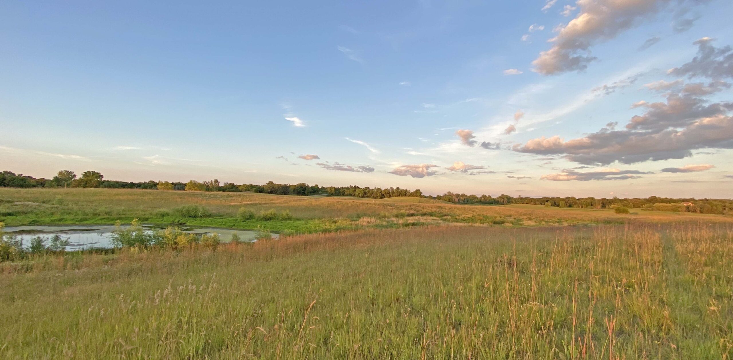 Our expert natural landscaping services create prairies just like this one
