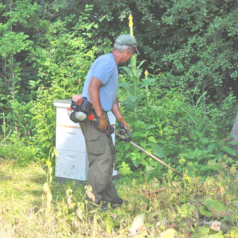 Weedwhipping instead of herbicide use on natural landscape