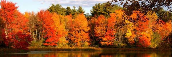 Minnesota Beautiful Fall Colors on Lakeshore